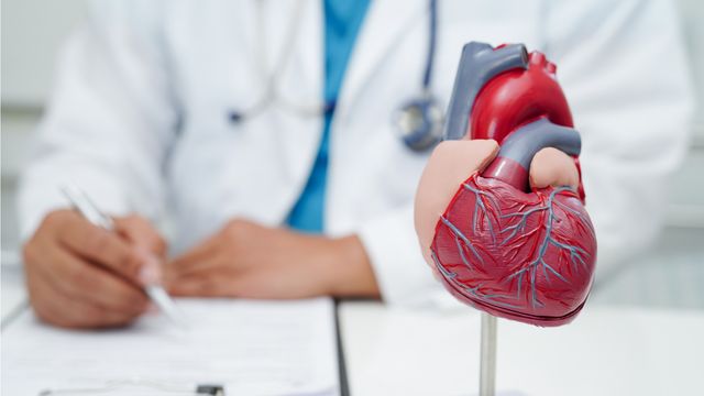 Anatomical heart model on a desk with a doctor writing in the background, illustrating heart damage. 