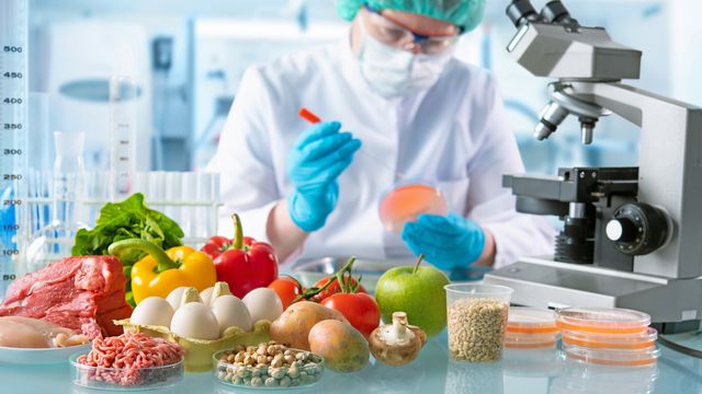 A researcher analyses samples in petri dishes behind a pile of different food items. 