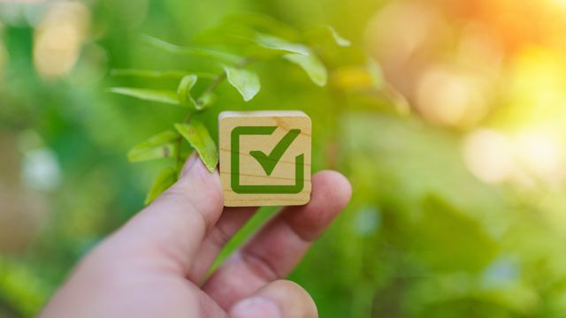 Hand holding a small wooden cube with a green tick, symbolizing verification, surrounded by vegetation. 