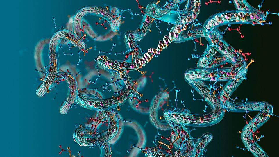 3D illustration of membrane protein structure representing immobilization methods.