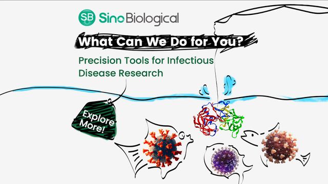 Sino Biological graphic showing a protein on a fishing line with virus-shaped fish and the tagline on research tools. 