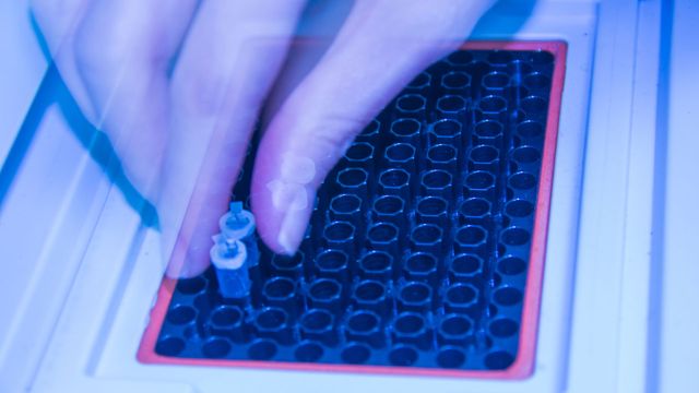 Individual's hand inserting small Eppendorf tubes into PCR machine. 