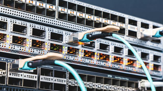 A close-up photo of switches plugged into ports on the side of a large data center server. 