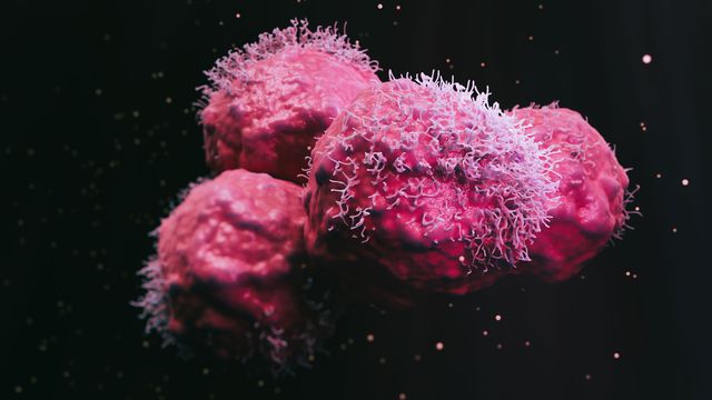 3D rendering of cancer cells with detailed surface structures under a microscope. 