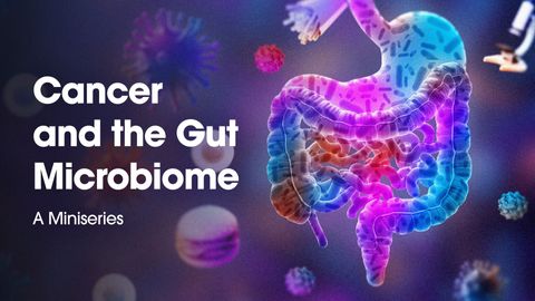 The Impact of Diet on Gut Health and Cancer Development