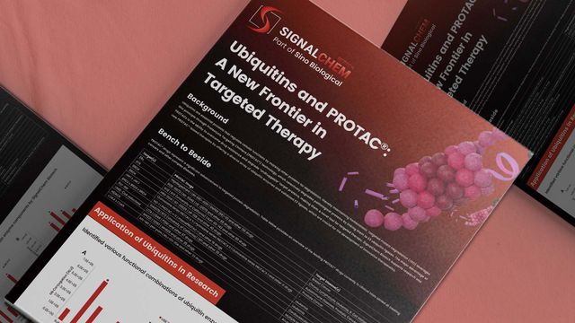 Ubiquitins and PROTAC®: A New Frontier in Targeted Therapy 